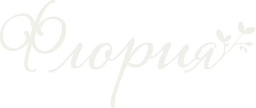 footer-logo