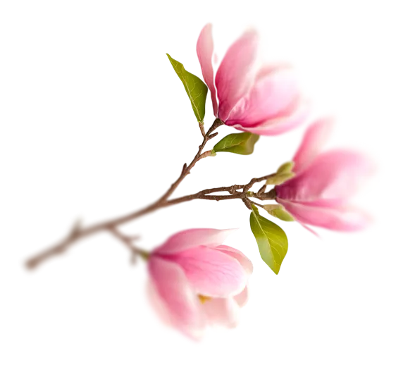 flower-left