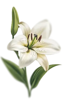 flower-left