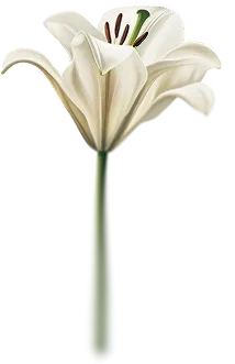 flower-right