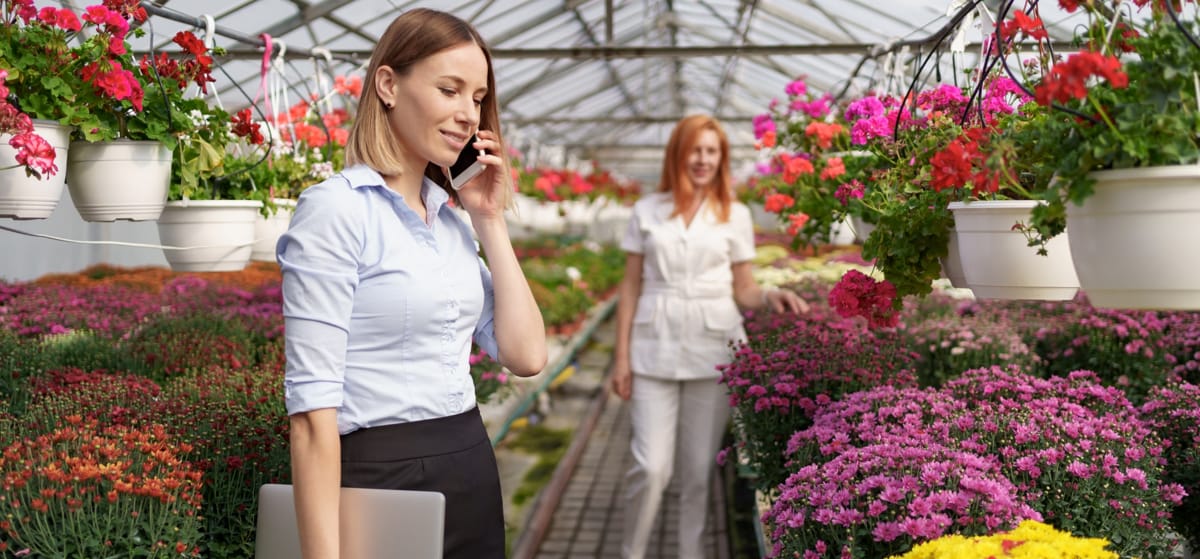 Изучаем свою ЦА: как увеличить продажи и скорректировать поставки, анализируя клиентскую базу