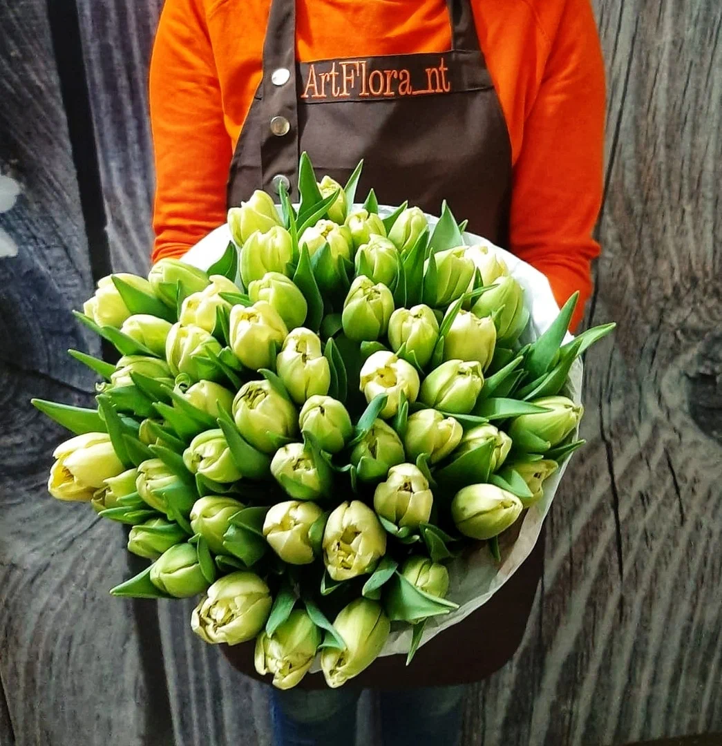 белые тюльпаны в руках