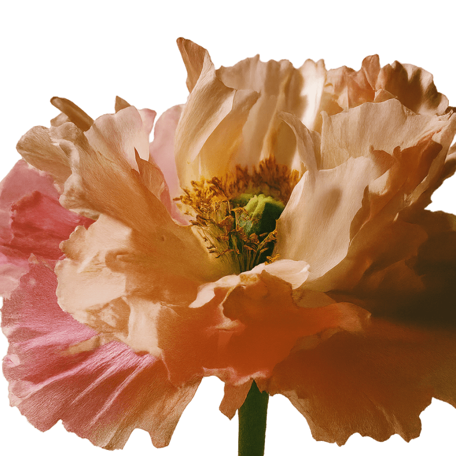 Ключевые элементы успешного сайта цветочного магазина