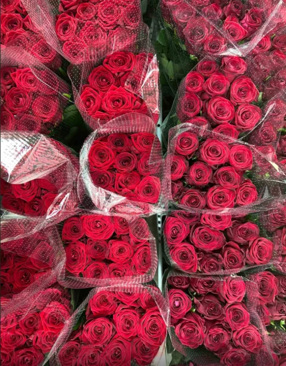 Красные розы