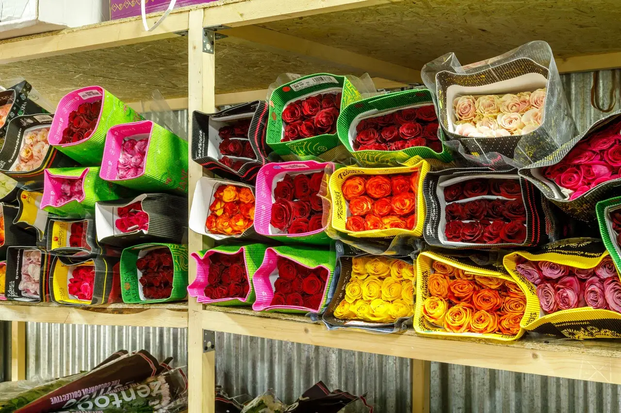 полки с упаковками роз