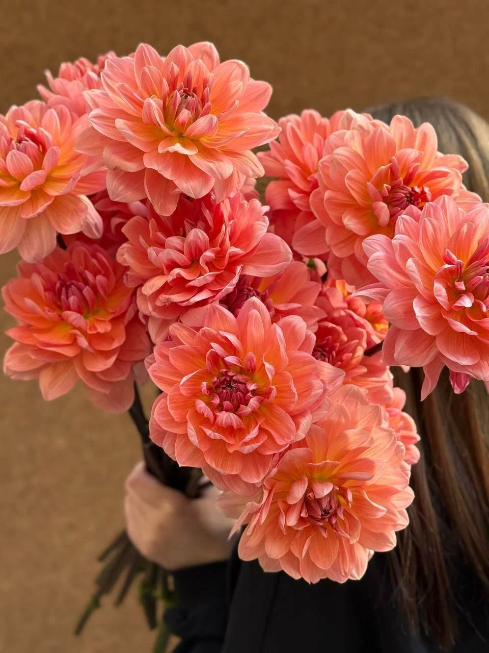 охапка оранжевых георгинов