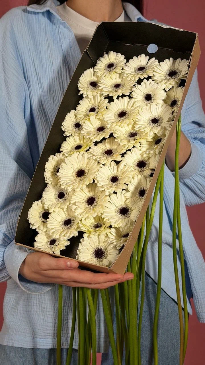 Герберы в коробке