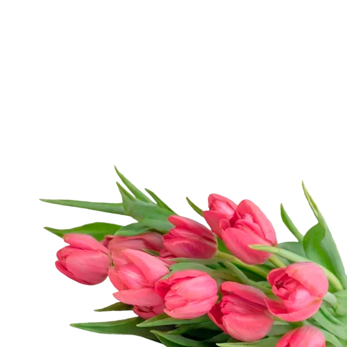 Итоги продаж цветочных салонов за 8 марта